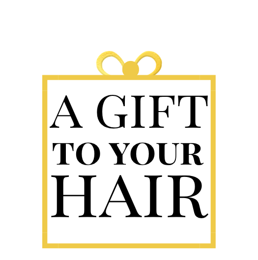 A Gift To Your Hair